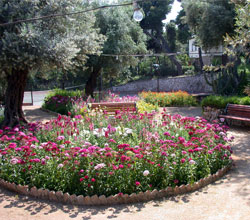ASCSA