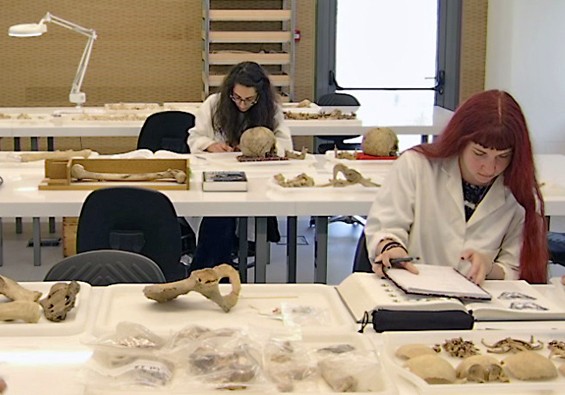 Introduction to Bioarchaeology Course