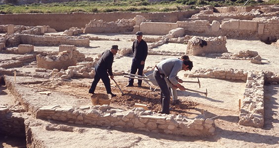 Appendix III. Archaeological Projets (1882–2024)