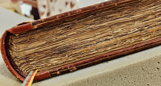 Post-Doctoral and Scholar Fellowships