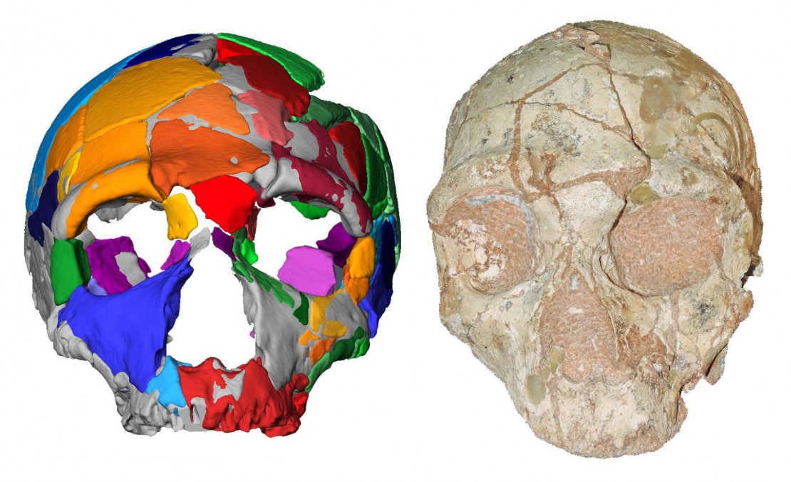 Panagiotis Karkanas Contributes to Groundbreaking Paper That May Alter the Story of Human Prehistory