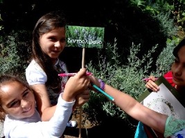 Εκπαιδευτικό πρόγραμμα «Flora Graeca: Ανακαλύπτοντας το μυστικό κήπο της Γενναδείου Βιβλιοθήκης»