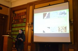 Fitch-Wiener Seminar: Dr. Stathopoulou