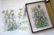 Δωρεά στη Γεννάδειο Βιβλιοθήκη του έργου τέχνης ‘Χαρτογραφώντας τον Περίπατο’