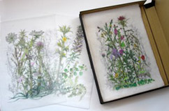 Contemporary Art Project Donated to the Gennadius Library