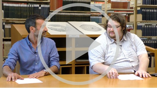 Webinar: Late Bronze Age Tablewares as an Index of Behavioural Variation, a Metrical and Volumetric Study