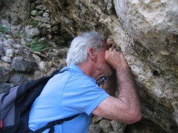 Volcanologist at Large