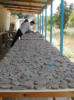 Research Spotlight: Sarah Lepinski and Roman Wall Paintings