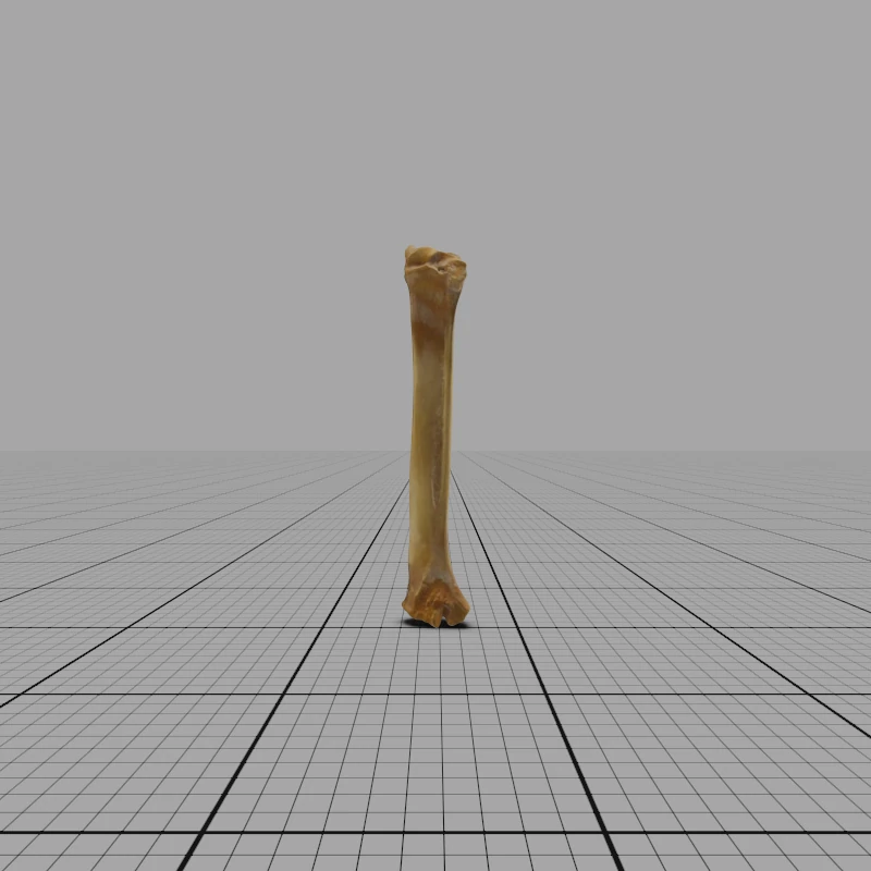 Radius L